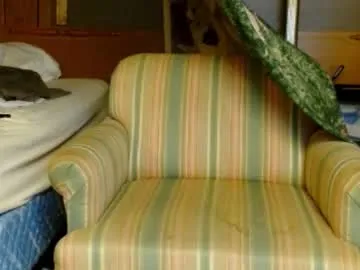 cguffey2284 Image 17