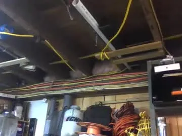 paulstetson Image 14