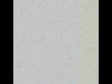 pussandtoots Image 11