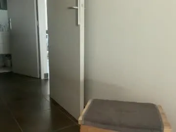 sarafossette Image 2