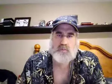 straightbear4you Image 10