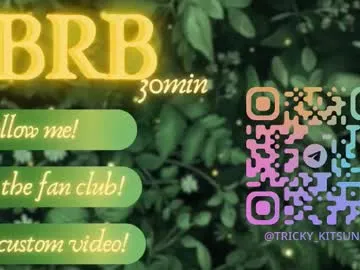 trickykitsune Image 15