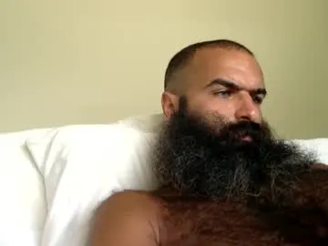 woof_wolf37 Image 17